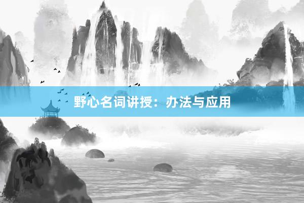 野心名词讲授：办法与应用