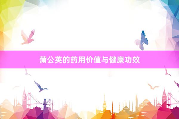 蒲公英的药用价值与健康功效