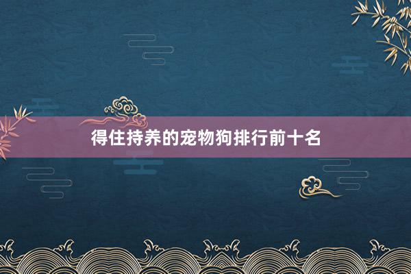 得住持养的宠物狗排行前十名
