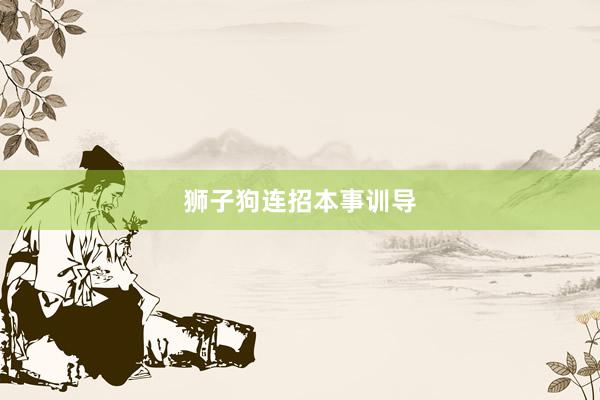 狮子狗连招本事训导
