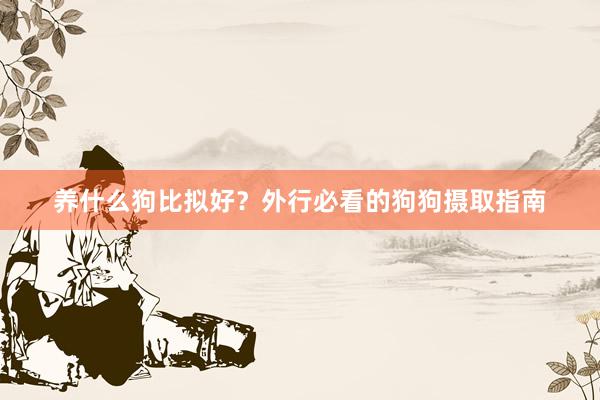 养什么狗比拟好?外行必看的狗狗摄取指南